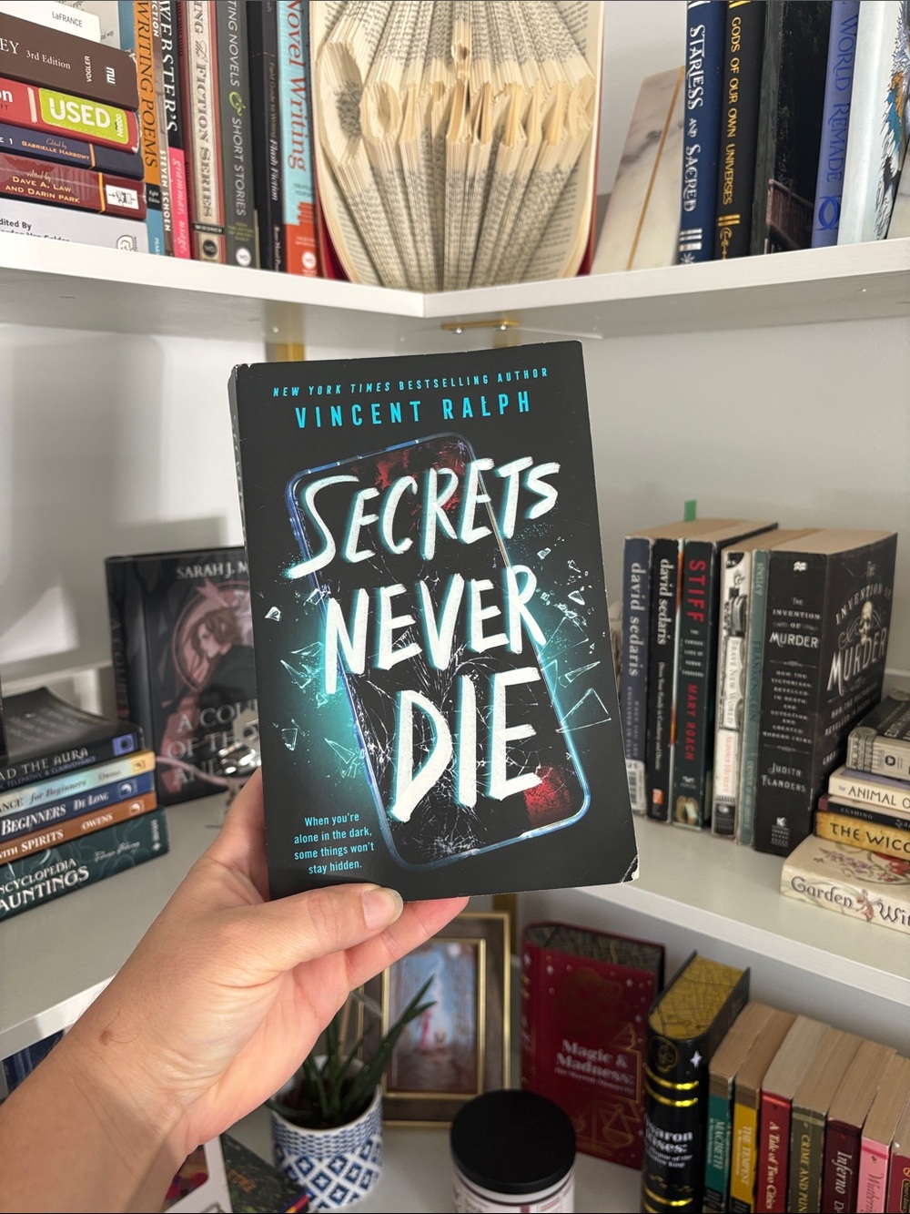 Secrets Never Die — Paperback Book